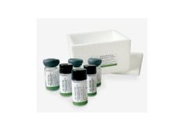 Kit Para Detecção De Carbapenemases - 20 Testes - Cecon